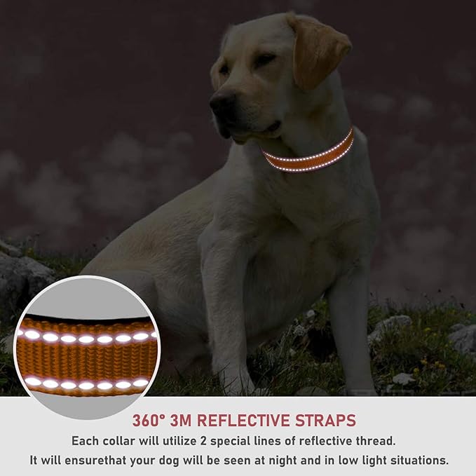 Reflective Dog Collar with Buckle Adjustable Safety Nylon Collars for Small Medium Large Dogs, Orange XL