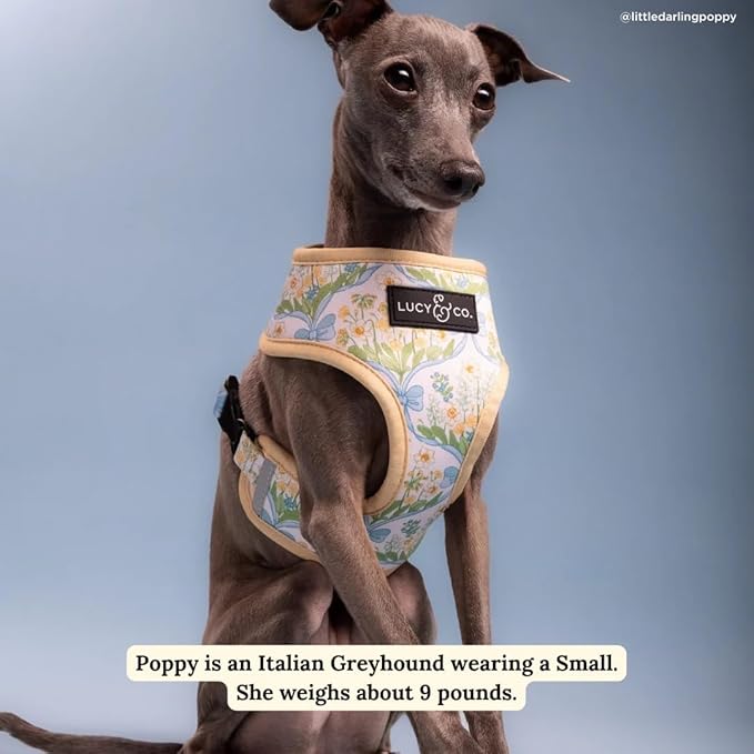 Lucy & Co. Sunshine and Daffodils Reversible Dog Harness, Adjustable Comfort Fit with Dual Leash Attachments, X-Small