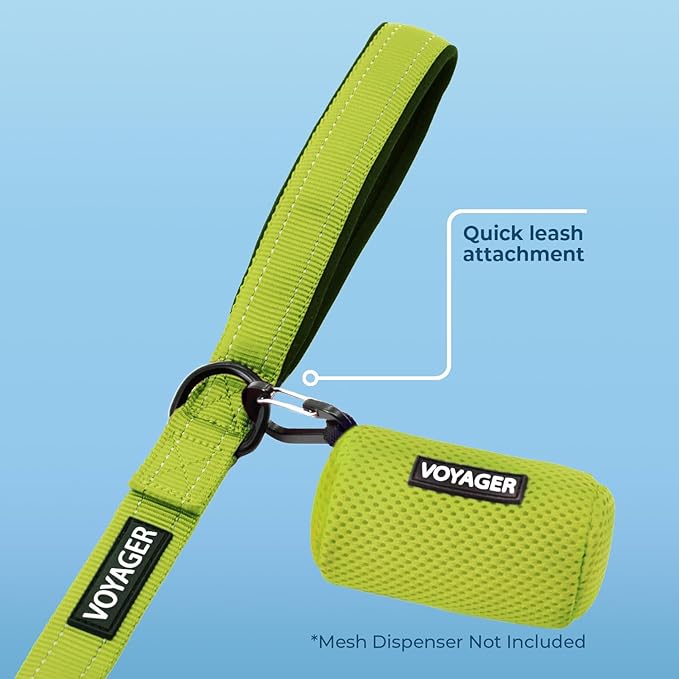 Best Pet Supplies Voyager Reflective Dog Leash or Collar with Neoprene Handle, for Small, Medium, and Large Breed Puppies, Cute and Heavy Duty for Walking, Running and Training - Lime, L