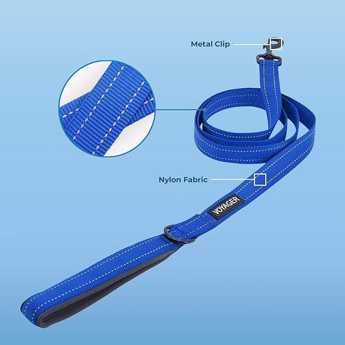 Best Pet Supplies Voyager Reflective Dog Leash or Collar with Neoprene Handle, for Small, Medium, and Large Breed Puppies, Cute and Heavy Duty for Walking, Running and Training - Royal Blue (Leash), M