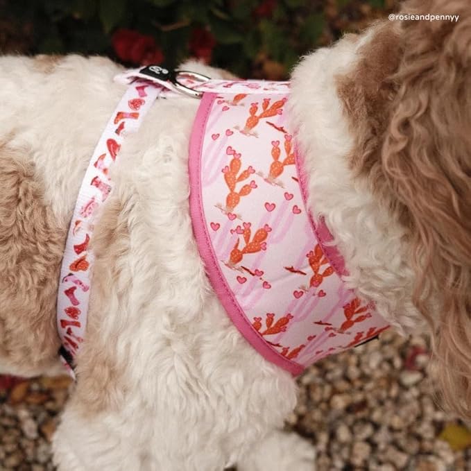 Lucy & Co. Little Lamb Adjustable Dog Collar- Cute Designer Pet Collar for Small, Medium, Large Dogs- Buckle Closure Dog Accessories, Large, Yellow Floral