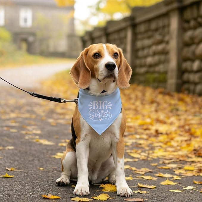 Big Sister Dog Bandana, Light Blue Pet Scarf Accessories, Pet Triangle Scarf, Dog Bandana for Small Medium Dogs, Baby Announcement Dogs Bandana (M)
