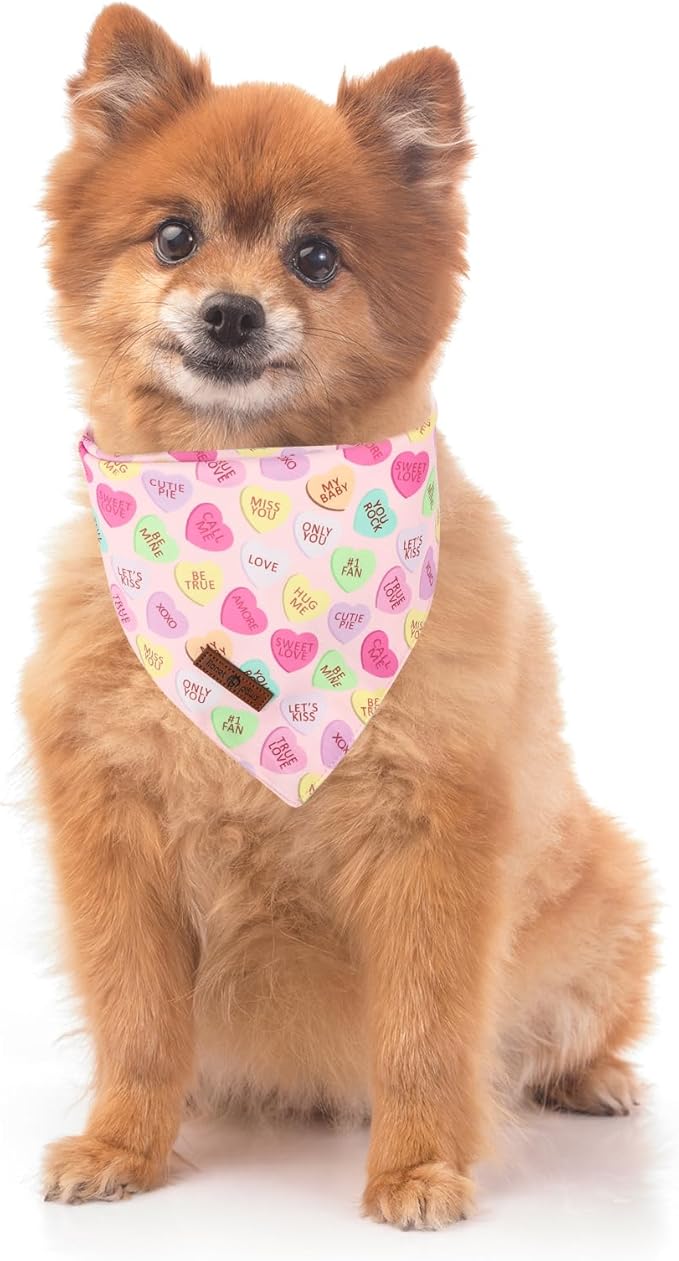 Lionet Paws Valentine's Day Dog Bandana Washable Cotton Beige Handkerchief Scarf Triangle Love Letter Bandana for Medium Large Dogs Girl Boy