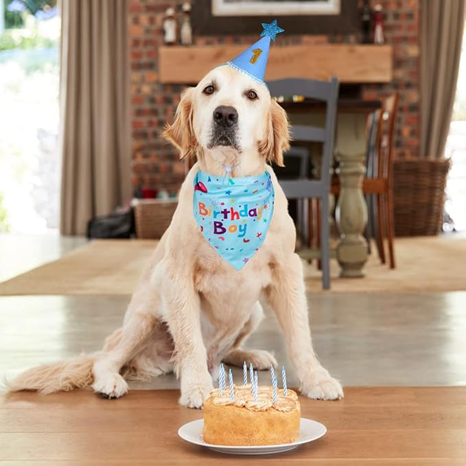 Dog Birthday Party Supplies, Dog Birthday Bandana Set, Dog Boy Girl Birthday Party Hat with Numbers for Large Medium Small Dogs Pet (Blue)