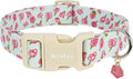 Dog Collar for Small Dogs, Spring &Summer Theme Blue Small Dog Collars with Pink Rose Pattern, Adjustable Puppy Dog Collars, Cute Girl or Boy Dog Collar Ideal for Gifts,Pet Accessory