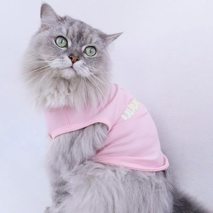 Custom Dog Shirt,Personalized Pet Apparel with Name Text Photo Image,Lightweight Breathable Puppy Kitten Cotton Vest for Small Medium Large Dogs Cats,Puppy Gift (White, 3X-Large)