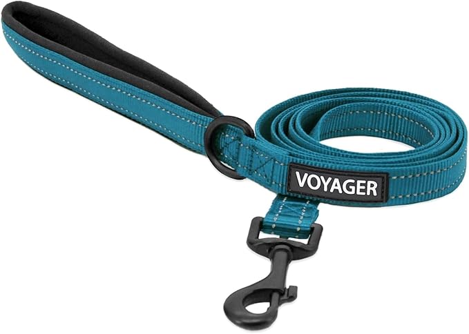 Best Pet Supplies Voyager Reflective Dog Leash or Collar with Neoprene Handle, for Small, Medium, and Large Breed Puppies, Cute and Heavy Duty for Walking, Running and Training - Turquoise (Leash), S