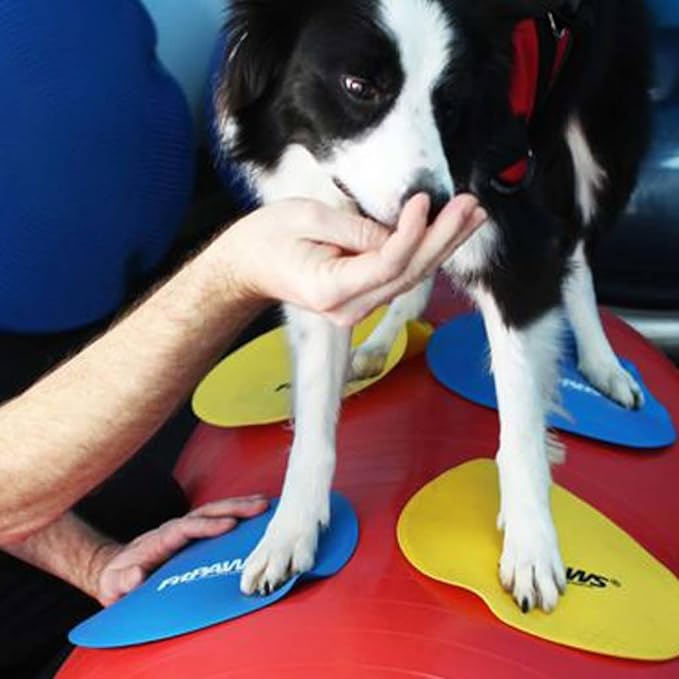 FitPAWS Targets