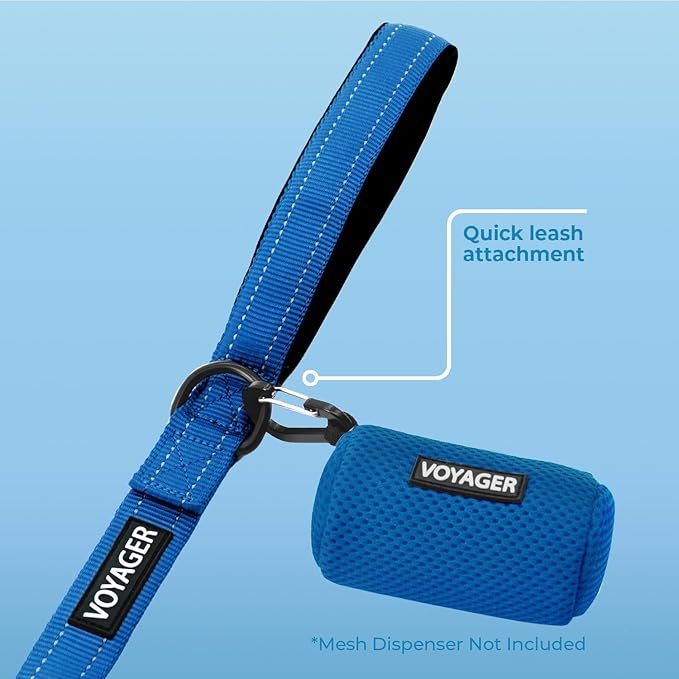 Best Pet Supplies Voyager Reflective Dog Leash or Collar with Neoprene Handle, for Small, Medium, and Large Breed Puppies, Cute and Heavy Duty for Walking, Running and Training - Royal Blue (Leash), M