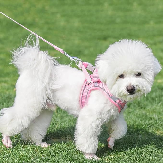 AIITLE Comfortable Dog Harness and Leash Set for Walking - Step in Vest Harness,Reflective Bands, Adjustable No Pull Puppy Essentials, for Small Dogs and House Cats Pure Pink XS