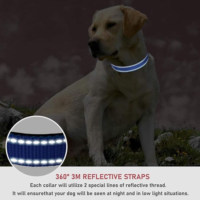 Reflective Dog Collar with Buckle Adjustable Safety Nylon Collars for Small Medium Large Dogs, Navy Blue XXS