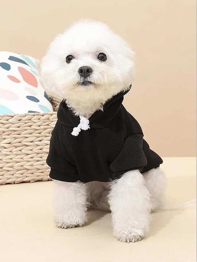 QWINEE Basic Dog Hoodie Sweatshirt Puppy Sweater Warm Cat Costumes Pet Clothes for Chihuahua Puppy Kitten Small Medium Dogs Multicolored Small