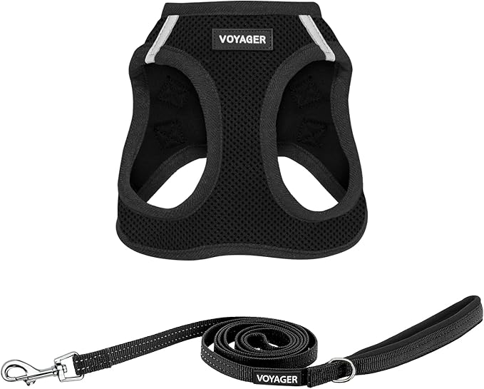Best Pet Supplies Voyager Step-in Air All Weather Mesh Harness and Reflective Dog 5 ft Leash Combo with Neoprene Handle, for Small, Medium and Large Breed Puppies - Set (Black), XS
