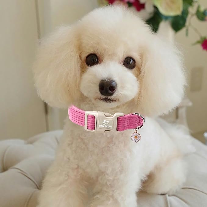 Cute Corduroy Dog Collar - Deep Rose Adjustable Dog Collars for Medium Dogs 25-50lbs, Fade-Proof with Secure Snap & Little Charm, Christmas Birthday Gift, M