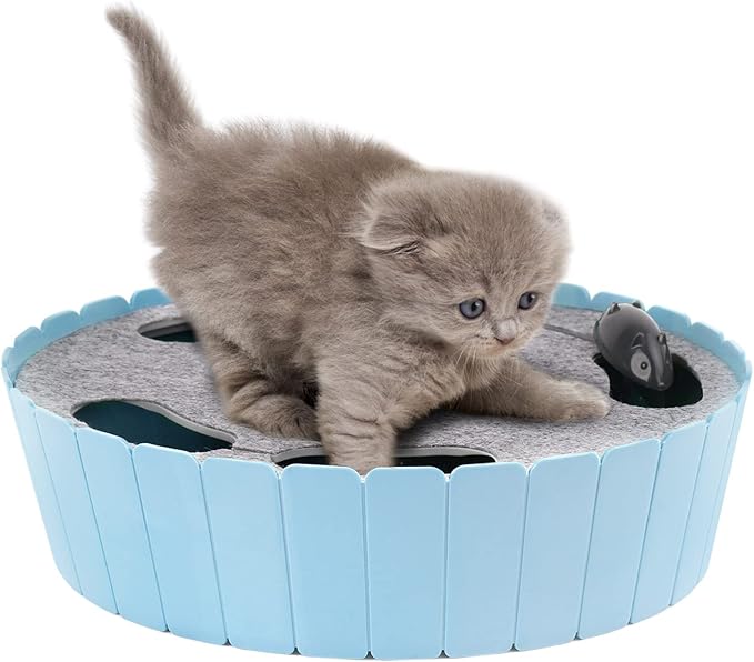 Pawaboo Interactive Cat Toy with Running Mouse, Electronic Motion Cat Toy Automatic Teaser for Indoor Cats, Pop and Play Hide Seek Cats Toys Hunting Mouse for Pet Kitten Play Fun Exercise, Blue