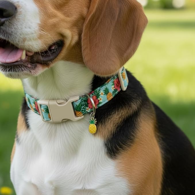 Summer Dog Collar with Tropical Pattern, Cute Dog Collar for Girl Boy Dogs, Pet Collar with Unique Print and Soft Fabric, Suitable for Medium Dogs