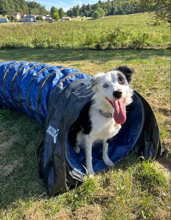 Better Sporting Dogs 10 Foot Heavy Duty PVC Tunnel with Sandbags | Dog Agility Equipment | Dog Agility Training