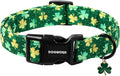 DOGWONG St Patrick's Day Dog Collar-Cute Green Clovers Dog Collars, Adjustable Shamrock Pet Collars Trefoil Puppy Collars with Quick Release Buckle for Girl&Boy Dogs,L