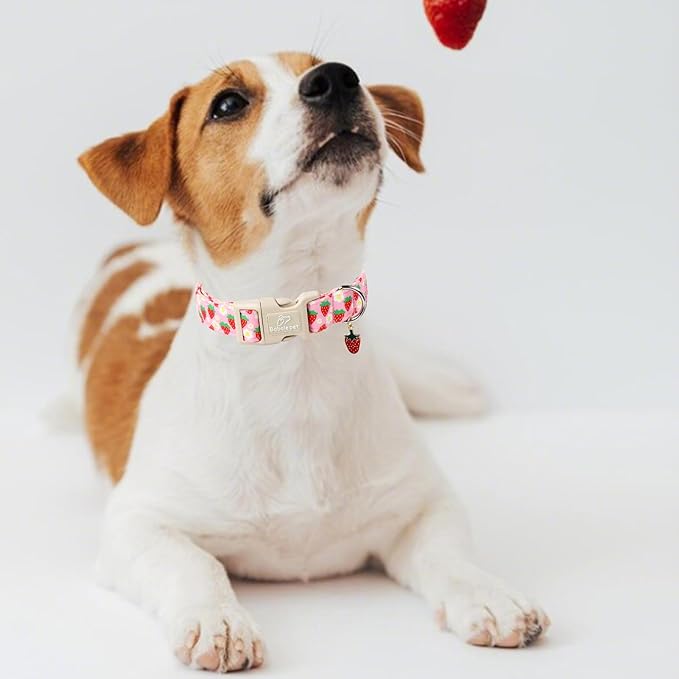 Cute Spring/Summer Dog Collar, Adjustable Pink Strawberry Dog Collars for Large Dogs, Lightweight Quick-Release Buckle Collar for Boy&Girl Dogs L