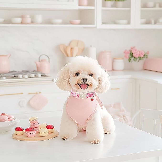 Strawberry Bow Dog Collar for Giant Large Dogs - Cute Pink Spring/Summer Girl Dog Collars, Lightweight Adjustable Female Girly Dogs Collars with Quick Release Buckle XL