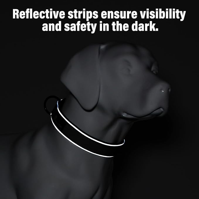 Plutus Pet Tactical Dog Collar, Reflective, Adjustable Heavy Duty Dog Collar, Soft Padded and Comfortable, for Small Medium and Large Dogs (Black, M)