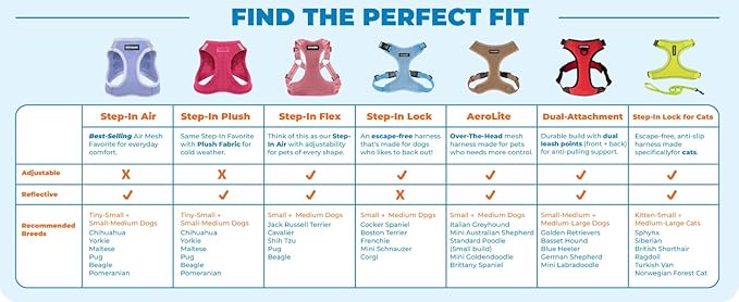 Best Pet Supplies Voyager Step-in Air Harness - All Weather Mesh, Reflective, No Pull Harness for Dogs, Cats - Secure with Hook & Loop Fastener, Buckle, Double D-Rings - Fuchsia 2-Tone, L