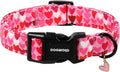 DOGWONG Valentine Dog Collar, Pink Heart Dog Collar, Girl Female Dog Collars with Strong Plastic Buckle for Small Medium Dogs,M