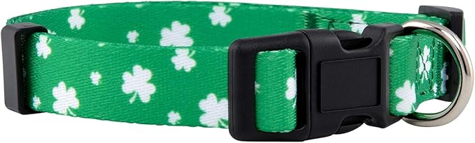 Native Pup St Patricks Dog Collar- Saint Patrick Green Shamrock Pet Collars- St. Patrick’s Lucky Irish- Cute Boy Girl Puppy Gift- Adjustable for Small, Medium, Large Breeds (Lucky Shamrock, Medium)