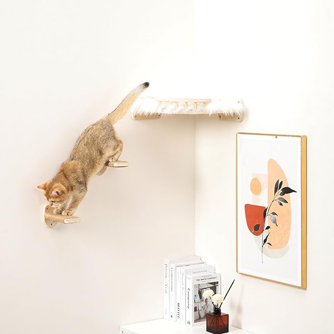 3-in-1 Cat Climbing Wall Steps with Hemp Rope, Shelves and Perches, Scratching Pads for Cats Playing and Climbing (Wood)