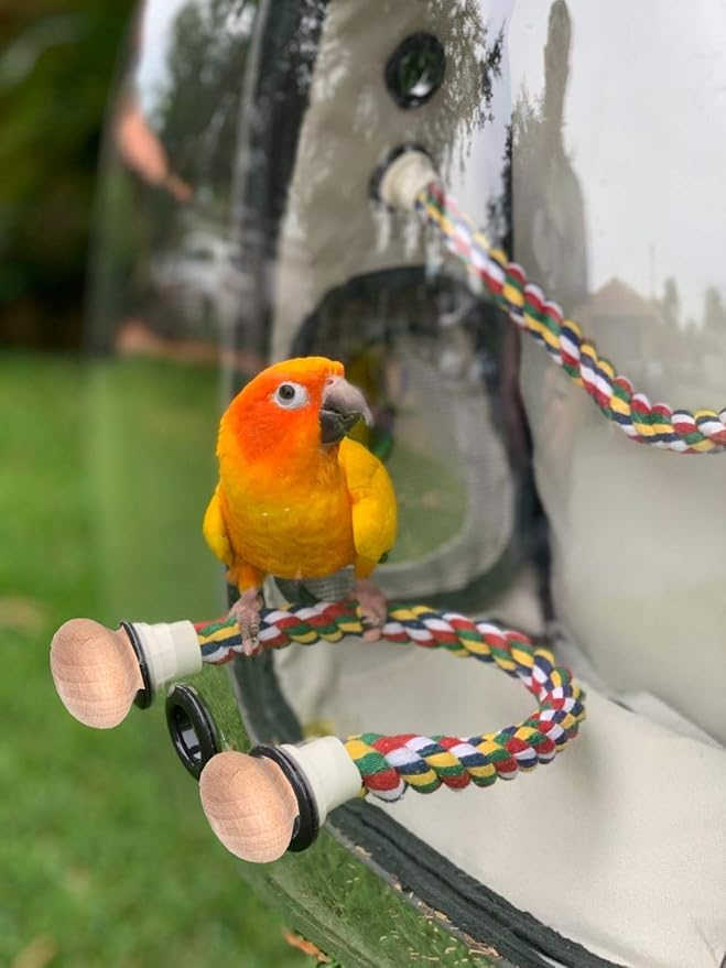 Bird Traval Carrier Cage, Polarized Tinted Brown Space Capsule Astronaut Backpack to Carry Parakeet Cockatiel Parrot with Metal Tray Wood Perch, Vet Transport Bag