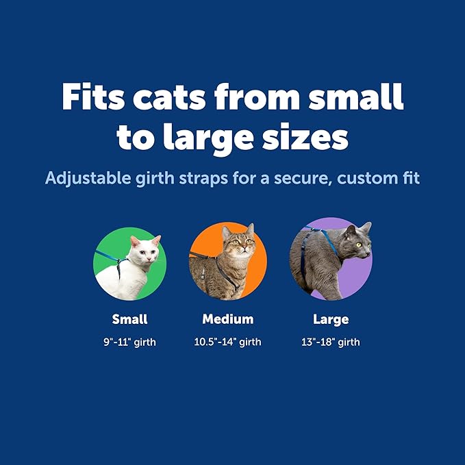 PetSafe Come with Me Kitty Cat Harness & Bungee Leash - Comfortable Cat Harness with Lightweight Bungee Leash for Outdoor Fun - More Secure Walks - Large - Royal Blue