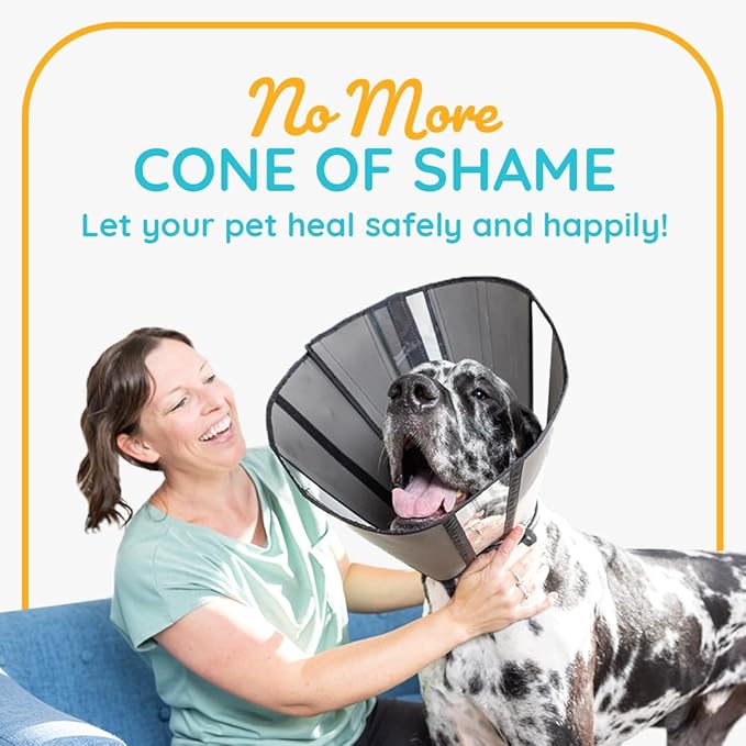 ZenPet Pet Recovery Cone E-Collar for Dogs and Cats - Always Use with Your Pet's Everyday Collar - Comfortable Soft Collar is Adjustable for a Secure and Custom Fit (Medium)