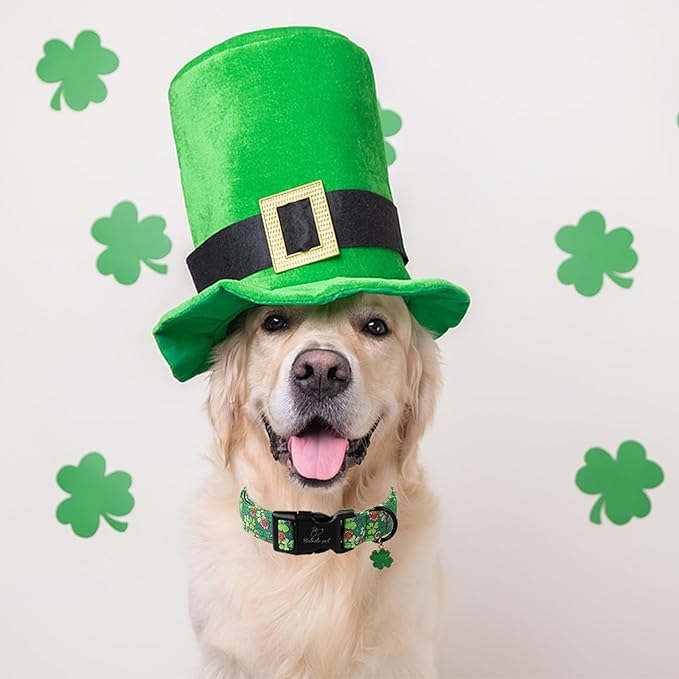 St Patricks Day Dog Collar for Small Dogs - Lucky Flower Shamrock Green Dog Collars, Cute Irish Clover Puppy Collar with Quick Release Buckle for Girls&Boys Dogs XS