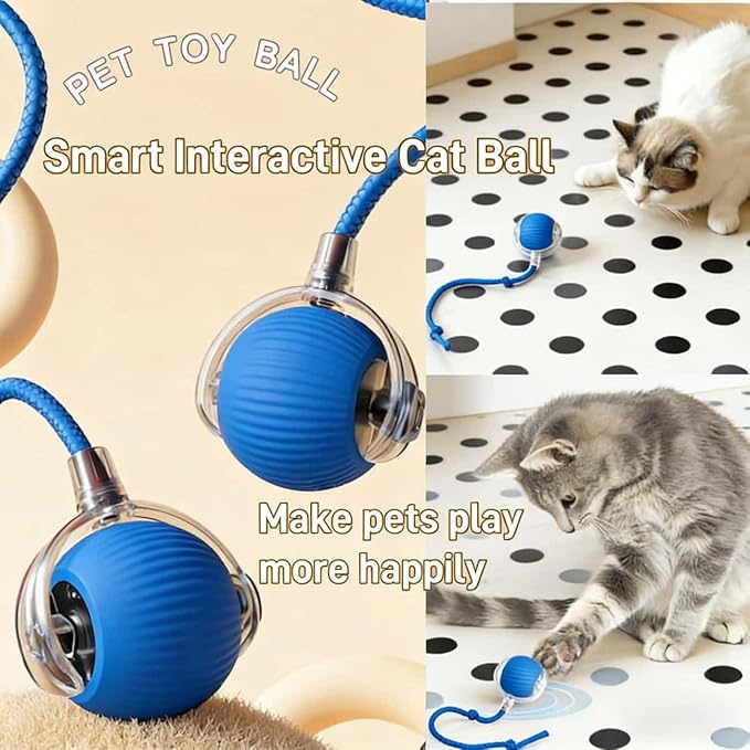 Interactive Cat Toys for Indoor Cats, Agility Move Cat Balls,Motion Activated Cat Balls, Cat Toys for Bored Indoor Cats (Blue)