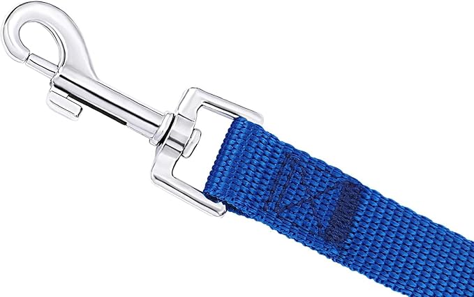 AMAGOOD Dog Leashes for Large, Medium & Small Dogs,20 ft Long Dog Leash-for Training,Tie Out,Play,Safety,Camping (20Feet x 1Inch, Blue)