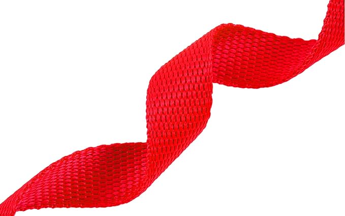 AmaGood Dog/Puppy Obedience Recall Training Agility Lead-15 ft 20 ft 30 ft 50 ft Long Leash-for Dog Training,Recall,Play,Safety,Camping (15feet, Red)