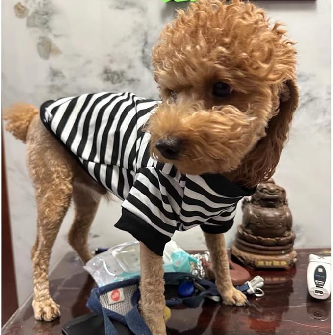 Autumn Dog Sweater with Leash Ring Warm Striped Puppy Shirt for Small Dog Girl Boy Cat Sweater Winter Pet Clothes Pomeranian Chihuahua Cold Weather Coat (Black, X-Large)