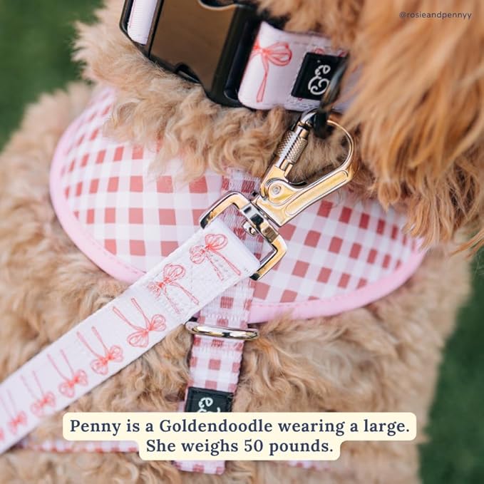 Lucy & Co. Ballet Bows Dog Collar - Durable Lightweight Designer Collar for Pets - Adjustable Metal Safety Buckle - White & Pink Bows - Medium