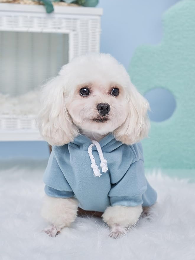 QWINEE Basic Dog Hoodie Sweatshirt Puppy Sweater Warm Cat Costumes Pet Clothes for Chihuahua Puppy Kitten Small Medium Dogs Grey and Cadet Blue Small