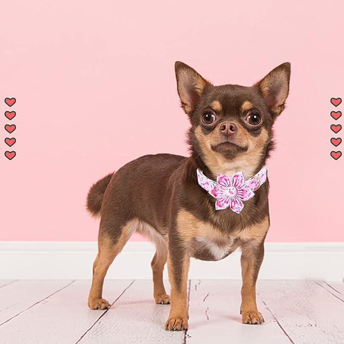 Lionheart Glory Valentine's Day Collar with Flower, Pink with Bowtie Spring Collar for X-Large Dogs