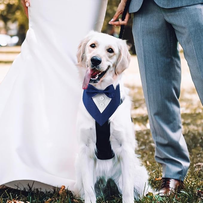 Dog Wedding Bandana, Formal Dog Tuxedo Adjustable Pet Collar with Bow, Small, Medium and Large Wedding Clothing, Birthday Gifts for Dogs (Large, Blue)