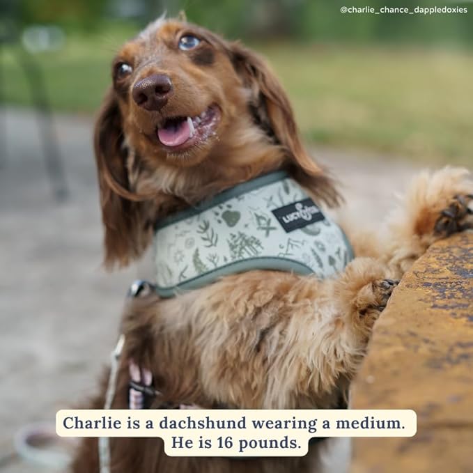 Lucy & Co. Cute Reversible Dog Harness Walking Halter - Best Designer Pet Harnesses for XS - XL Dogs - Padded Adjustable Vest for Easy Walking-XLarge-Green Outdoor Plaid