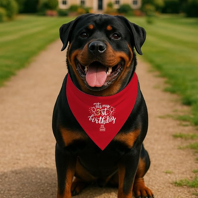 Birthday Dog Bandana, It's My 3 st Birthday Pet Costumes, Adjustable Comfortable Triangle Dog Scarf, Pet Birthdays Accessory for Small and Medium Dogs