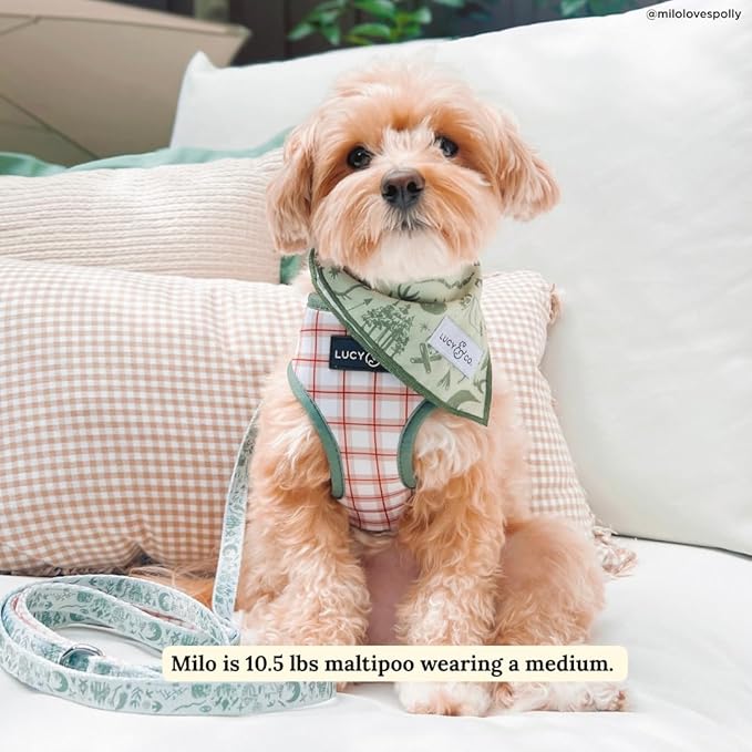 Lucy & Co. Cute Reversible Dog Harness Walking Halter - Best Designer Pet Harnesses for XS - XL Dogs - Padded Adjustable Vest for Easy Walking-XLarge-Green Outdoor Plaid