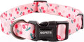QQPETS Adjustable Soft Dog Collar: Print Flower Pink Multicolor Cute Patterns for XS Small Medium Large Pet Girl Boy Puppy Walking Running Training (S, Sakura Pink)
