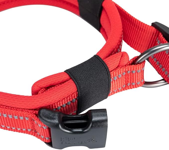 EXCELLENT ELITE SPANKER Reflective Dog Collar Classic Soft Padded Breathable Nylon Adjustable Pet Collar with Quick Release Buckle for Boy Girl Male Female Small Medium Large Dogs Training(Red-S)