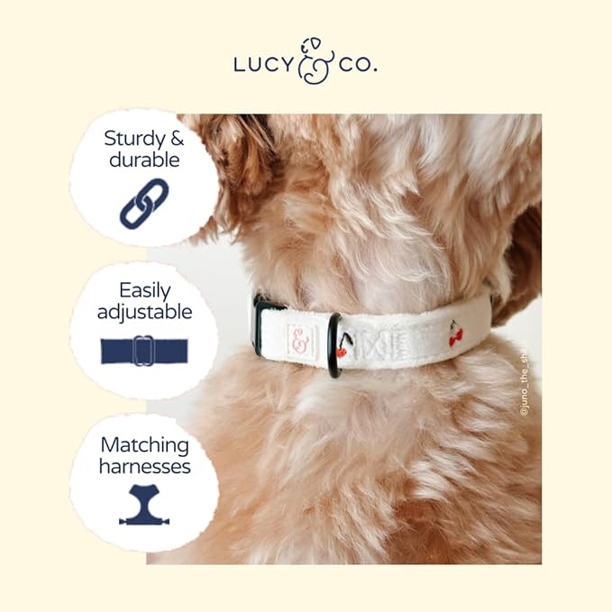 Lucy & Co. Silly Goose Dog Collar, Adjustable Durable Dog Collar with Cute Print, Large