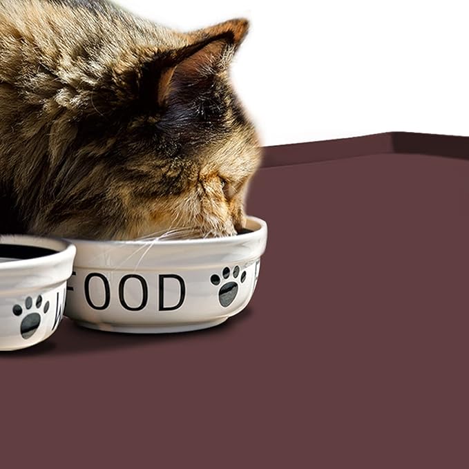 Dog Food Mat,Silicone Waterproof Food Tray,Non Slip Pet Bowl Mats Placemat,0.8" Raised Edge,Suitable for Most Small and Medium Sized Pets,28" x 18"