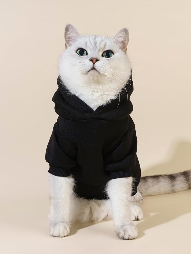 QWINEE Cartoon Bear Print Cat Hoodie Breathable Stretchy Sweatshirts with Hat Warm Cat Clothes for Small Medium Large Cats Dogs Multicolor M