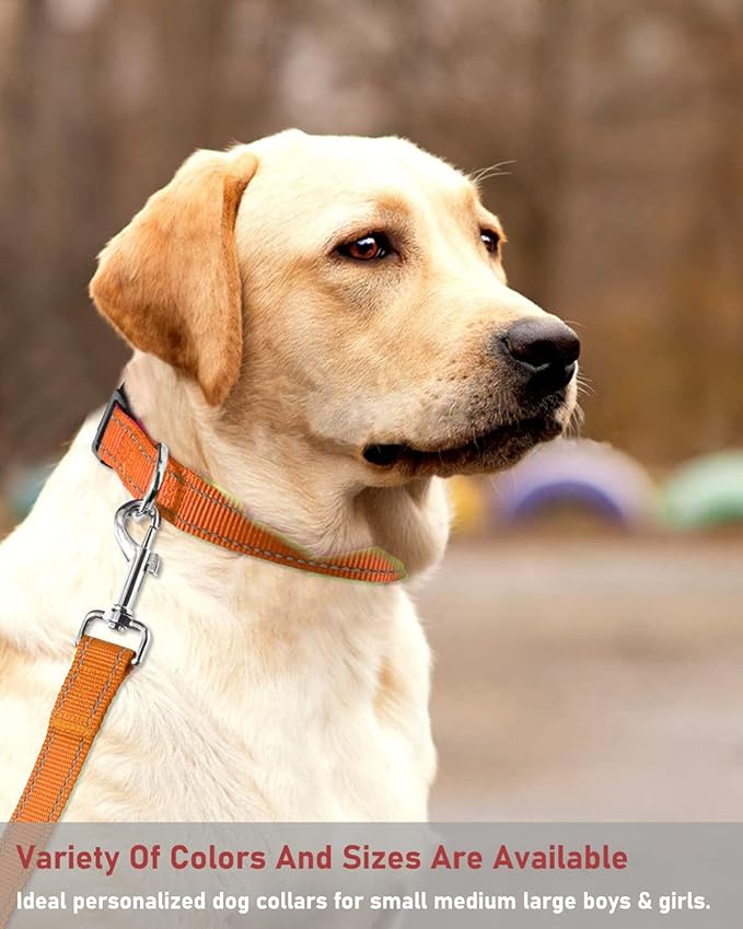 Reflective Dog Collar with Buckle Adjustable Safety Nylon Collars for Small Medium Large Dogs, Orange XS